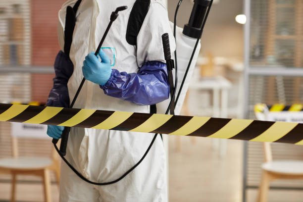 Professional Odor Removal technician working in Oakwood, IL